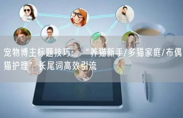 宠物博主标题技巧：“养猫新手/多猫家庭/布偶猫护理”长尾词高效引流